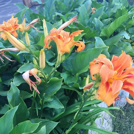 Raffinee A Avec Piscine Privee Et Jacuzzi *