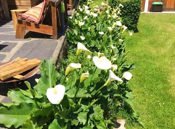 Villa Villa Raffinee A Foix - Piscine Et Jacuzzi